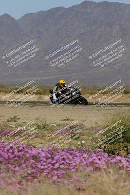 media/Feb-04-2023-SoCal Trackdays (Sat) [[8a776bf2c3]]/Turn 15 Inside Blooming (1050am)/